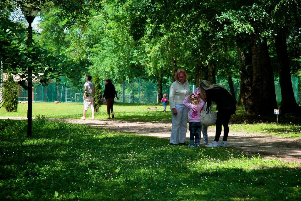 فندق Domaine Du Roi Kysmar Villandraut المظهر الخارجي الصورة